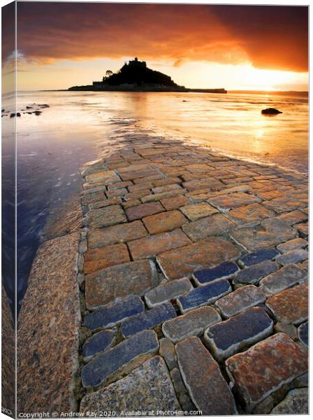The Causeway (St Michael's Mount) Canvas Print by Andrew Ray