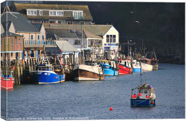 Boats at Looe Canvas Print by Andrew Ray