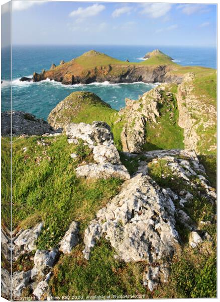 The Rumps Canvas Print by Andrew Ray