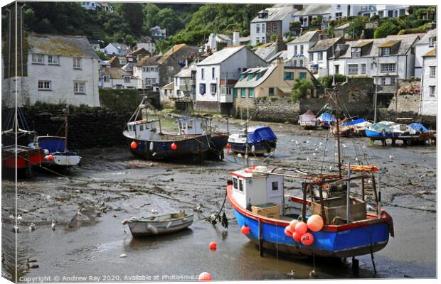 Boats at Polperro Canvas Print by Andrew Ray