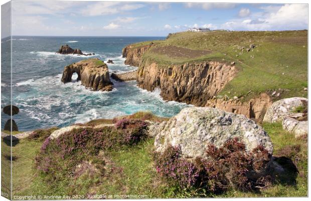 Heather at Land's End Canvas Print by Andrew Ray