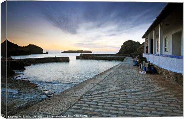Mullion Cove Pier Canvas Print by Andrew Ray