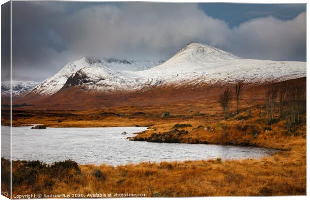 Snow on Black Mount Canvas Print by Andrew Ray