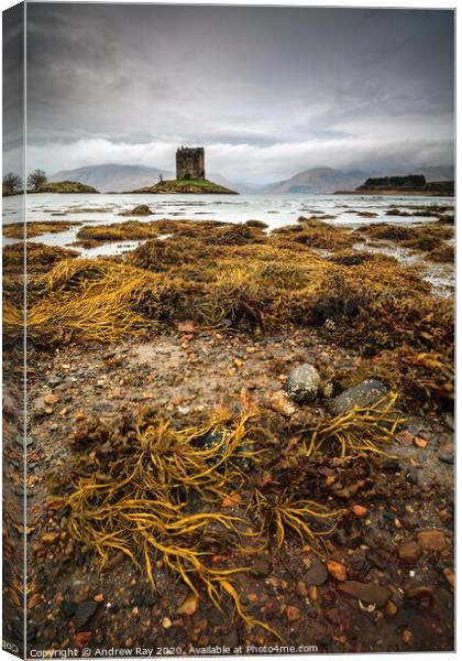 Low tide at Castle Stalker Canvas Print by Andrew Ray