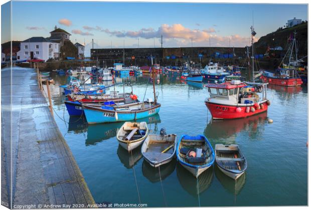 Boats in the inner harbour (Mevagissey) Canvas Print by Andrew Ray