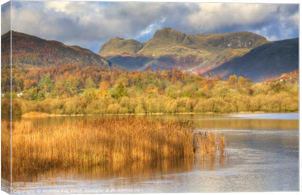 Elterwater Canvas Print by Andrew Ray