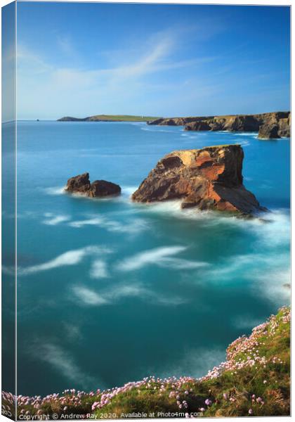 Sea Stack at Porthcothan Canvas Print by Andrew Ray