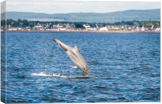 Bottlenose Dolphin (Tursiops truncatus) breaching in the Cromarty Firth Canvas Print by Howard Kennedy