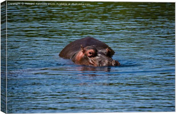 Hippo in Mzima Springs Canvas Print by Howard Kennedy
