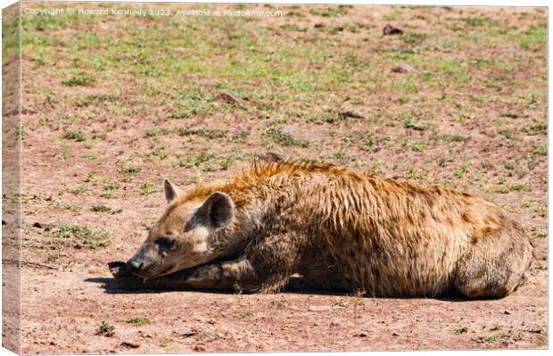 Spotted Hyena resting Canvas Print by Howard Kennedy