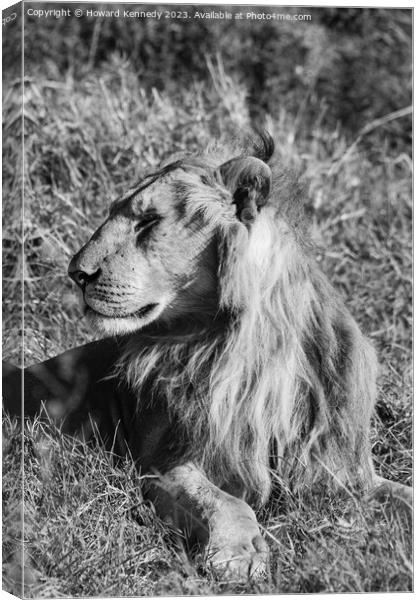 Male Lion in Masai Mara in black and white Canvas Print by Howard Kennedy
