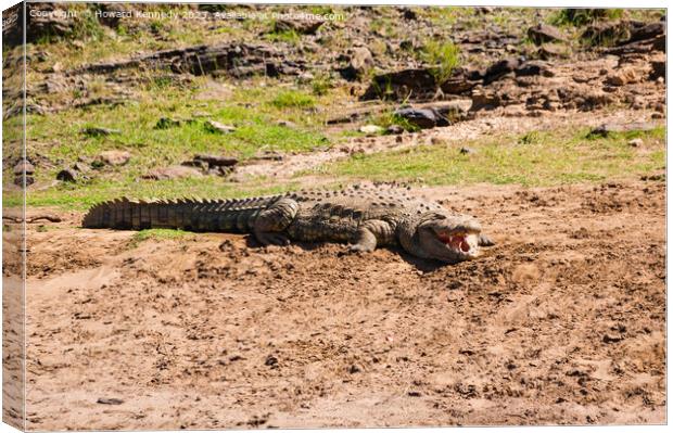 Basking Crocodile Canvas Print by Howard Kennedy