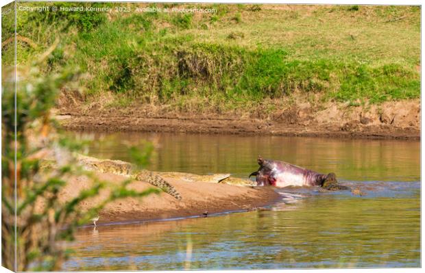 Crocodiles feeding on dead Hippo Canvas Print by Howard Kennedy