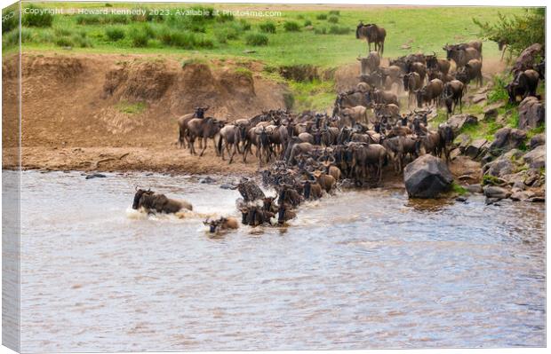 Wildebeest dodging Crocodile as they cross the Mara River during the Great Migration Canvas Print by Howard Kennedy