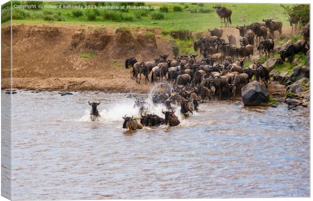 Wildebeest dodging Crocodile as they cross the Mara River during the Greaet  Canvas Print by Howard Kennedy