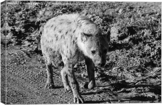 Pregnant female Spotted Hyena in black and white Canvas Print by Howard Kennedy