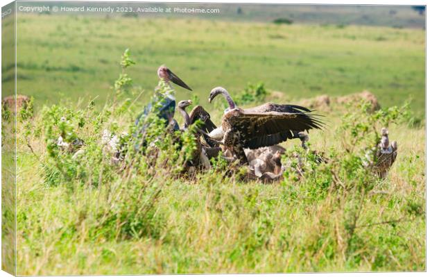 Vultures squabbling over a Wildebeest kill Canvas Print by Howard Kennedy