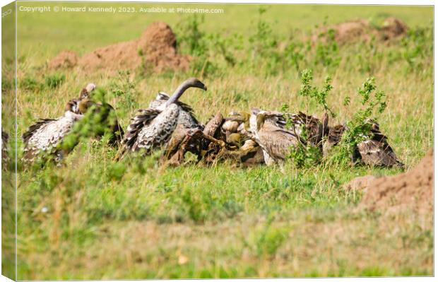 Vultures on a kill Canvas Print by Howard Kennedy