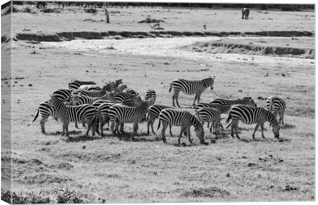 Dazzle of Burchell's Zebra in black and white Canvas Print by Howard Kennedy