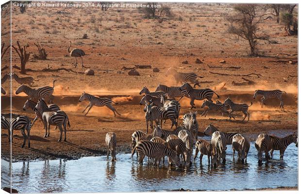Busy time at the waterhole Canvas Print by Howard Kennedy