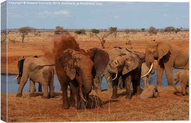 Elephant dust bathing Canvas Print by Howard Kennedy