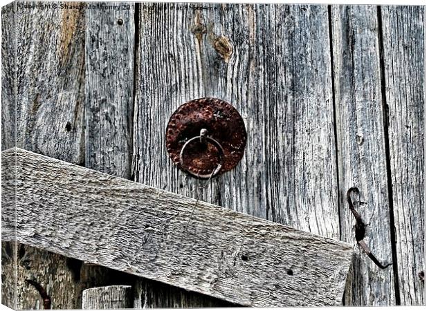 Old wooden door Canvas Print by Sharon Bowman