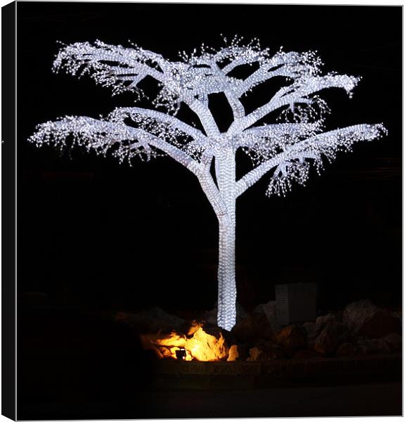 Tree Of Light - redone Canvas Print by Paul Piciu-Horvat
