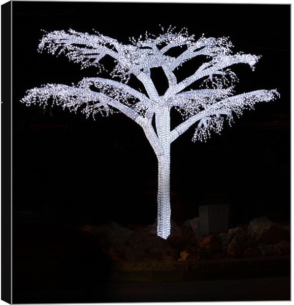 Tree of Light - 3rd version Canvas Print by Paul Piciu-Horvat