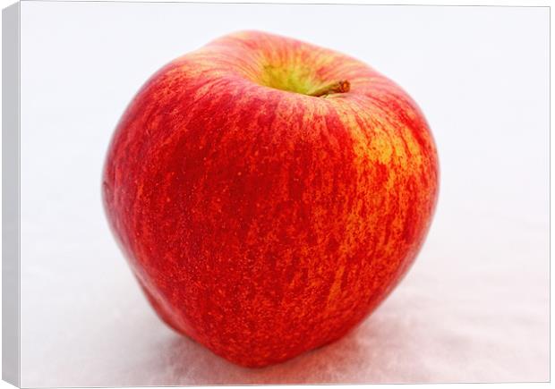 Red Apple Canvas Print by Paul Piciu-Horvat