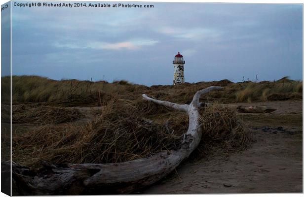  Driftwood and the Lighthouse Canvas Print by Richard Auty