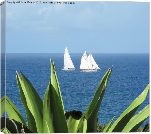  Sailing in Barbados Round the Island Race Canvas Print by Jane Emery