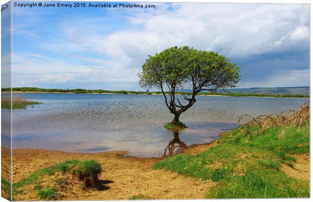  Kenfig Pool Canvas Print by Jane Emery