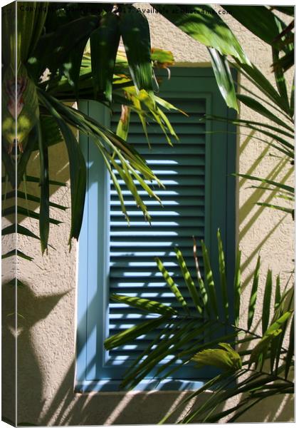Shutters Canvas Print by Jane Emery