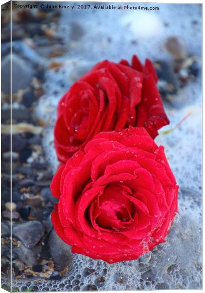 Roses in the ebb of the tide Canvas Print by Jane Emery