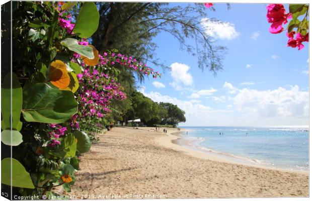 The Platinum Coast, Barbados Canvas Print by Jane Emery