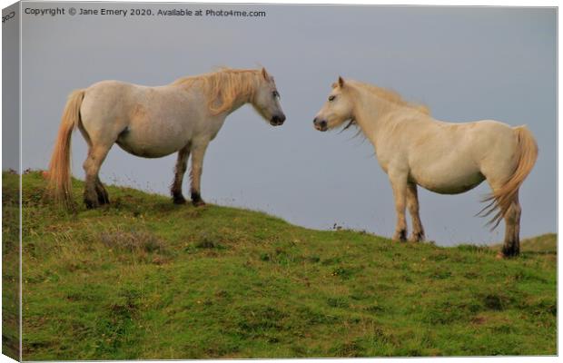 A couple of horses standing on top of a lush green Canvas Print by Jane Emery