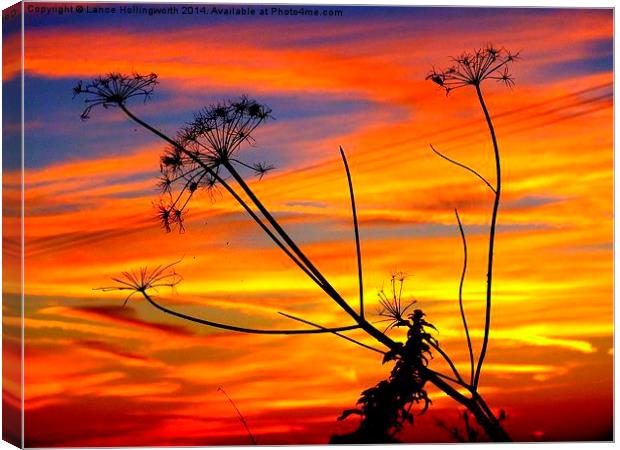  Sunset #2 Canvas Print by Lance Hollingworth