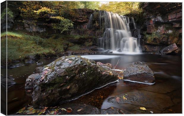 East Gill Waterfall  Canvas Print by David Holder