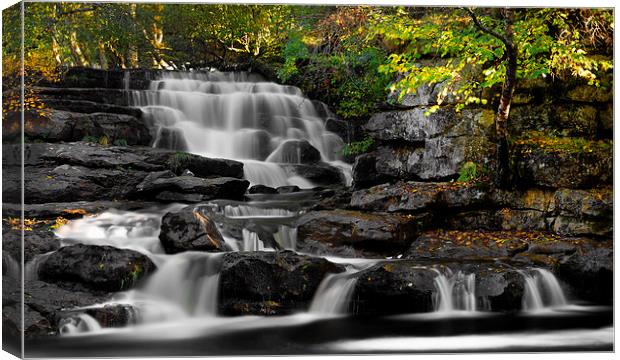  East Gill Lower Falls - Keld Canvas Print by David Holder