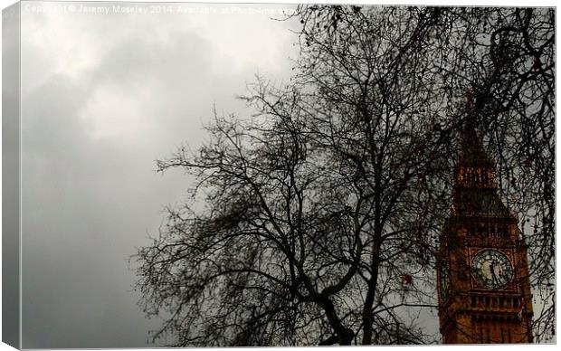 Big Ben as seen through the branches of a tree Canvas Print by Jeremy Moseley