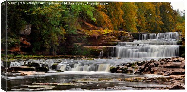  Aysgarth Falls Canvas Print by Carolyn Farthing-Dunn