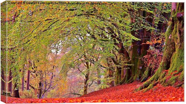  A walk in Autumn Woods Canvas Print by Carolyn Farthing-Dunn