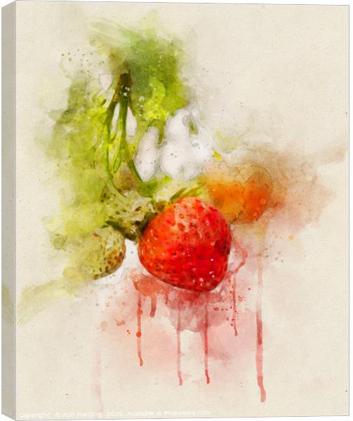 Strawberry Dream Canvas Print by Ash Harding
