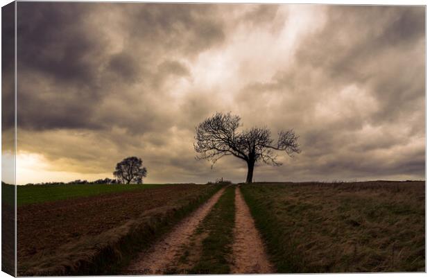 Storm cloud over Bredon Hill Canvas Print by Louise Wilden