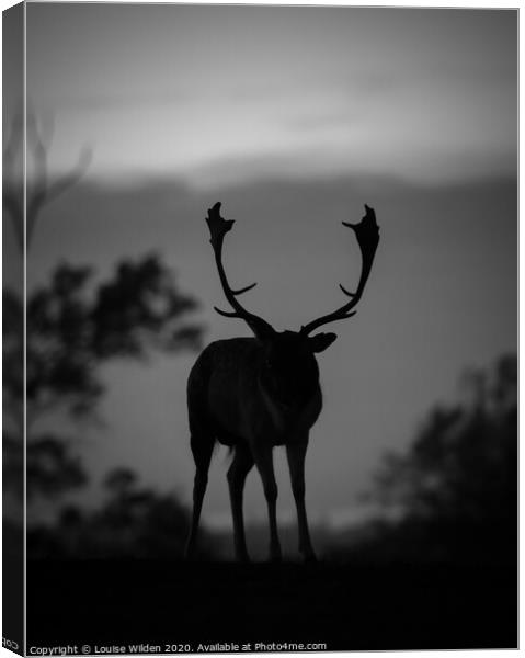 Silhouette of a deer  Canvas Print by Louise Wilden