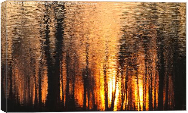  The forest of reflection Canvas Print by Joseph Pooley