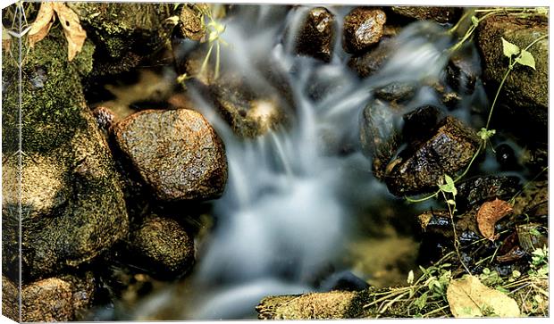  The Beauty of Water Canvas Print by Dave Rowlands