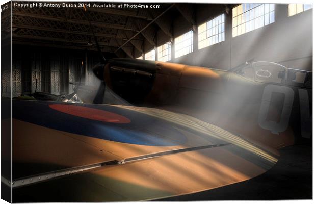  In the presence of spitfires Canvas Print by Antony Burch