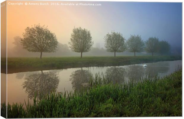 River Stour misty Dawn Canvas Print by Antony Burch