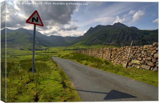The Road to the Langdales Canvas Print by Antony Burch